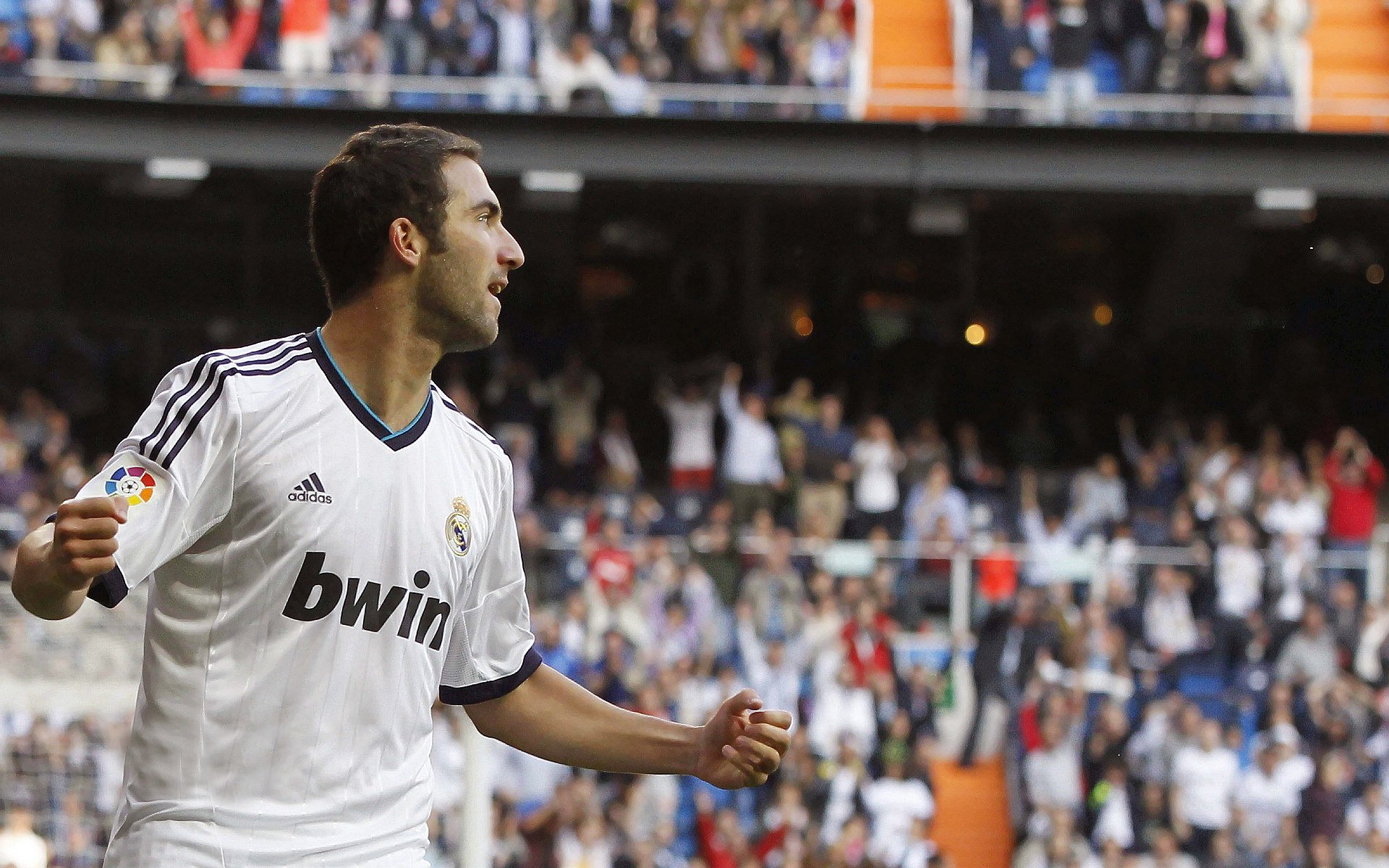 世界杯影响：五大联赛的变化与机遇，世界杯的参赛队伍