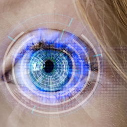 爱游戏登录入口-训练负荷科学监测，训练负荷诊断