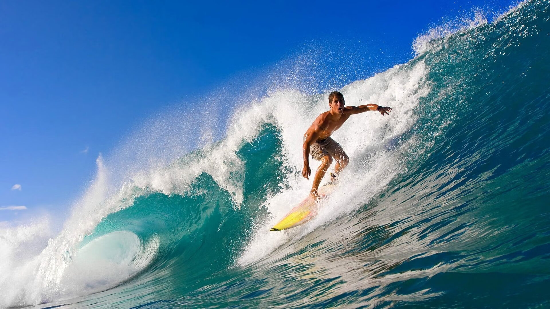 AYX体育官网-北极探险赛：极地挑战的无畏精神，北极探索